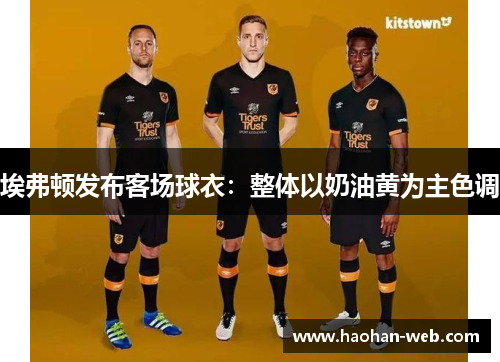 埃弗顿发布客场球衣：整体以奶油黄为主色调